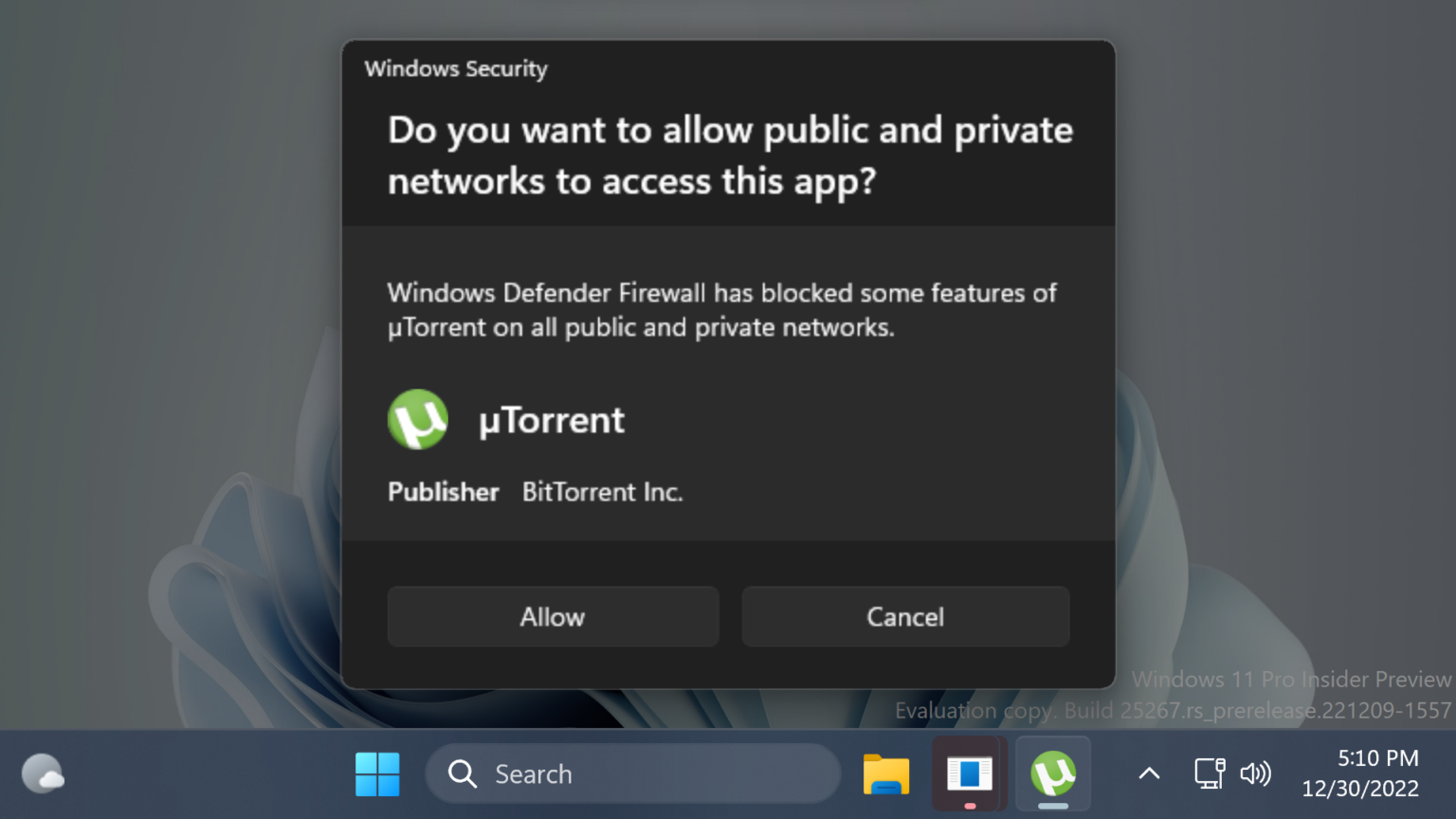 Enable New Hidden Features in Windows 11 25276 Firewall Dialog, Live